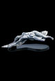 Sleeping Angel